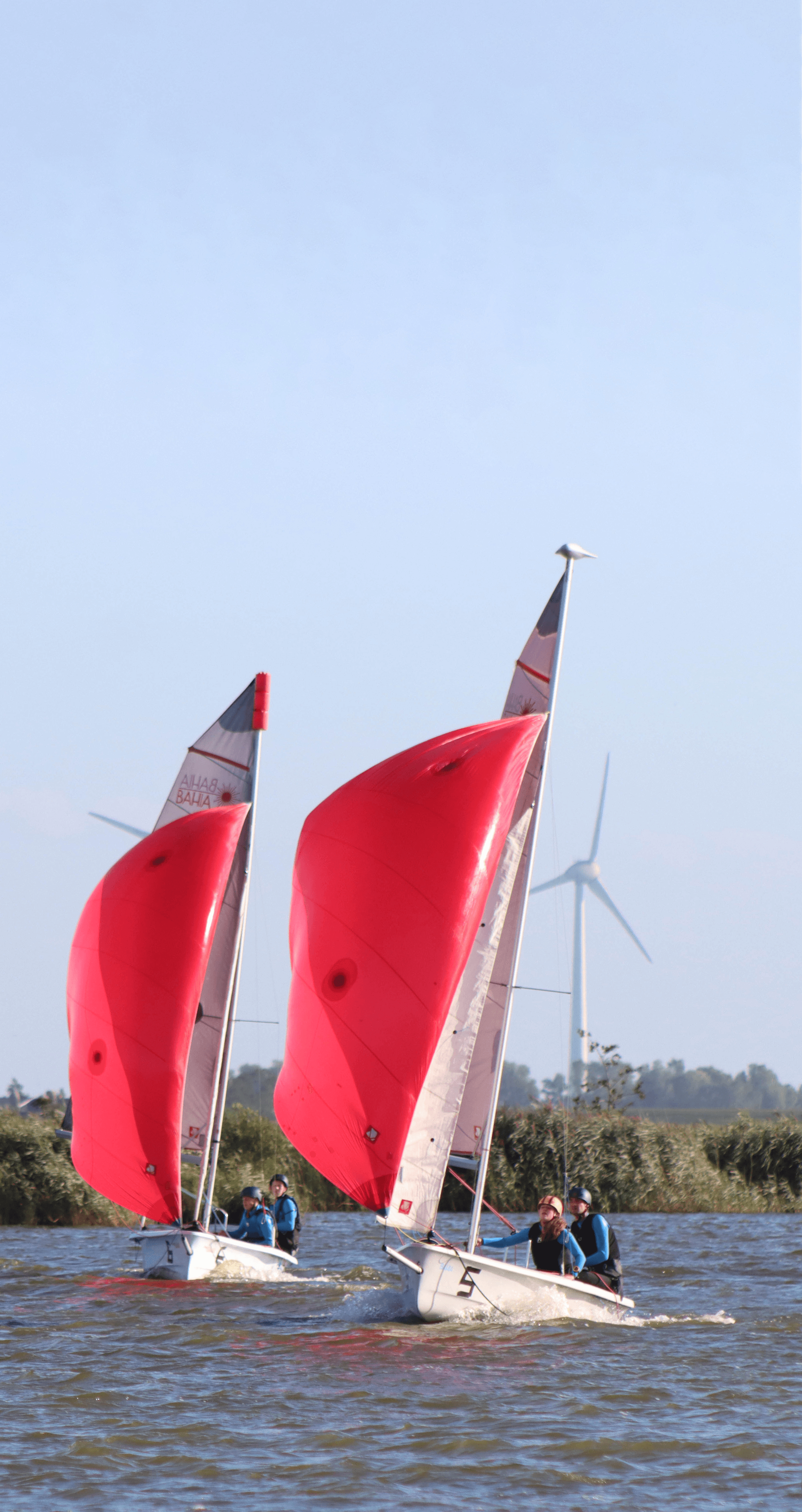 Laser Bahia Zeilschool de Kikkert